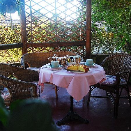 Le Camelie Bed & Breakfast Brissago-Valtravaglia Exterior photo