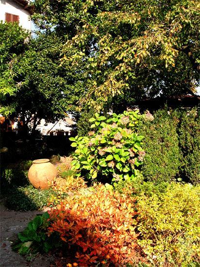 Le Camelie Bed & Breakfast Brissago-Valtravaglia Exterior photo